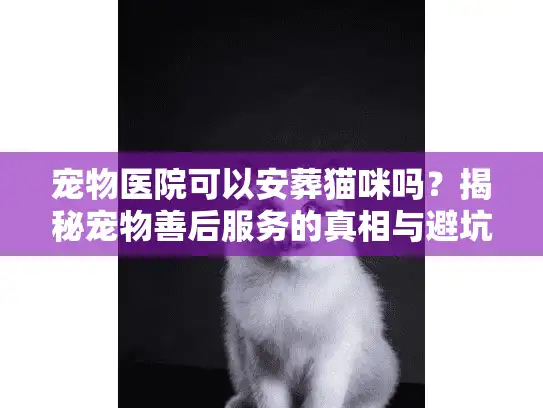 宠物医院可以安葬猫咪吗？揭秘宠物善后服务的真相与避坑
