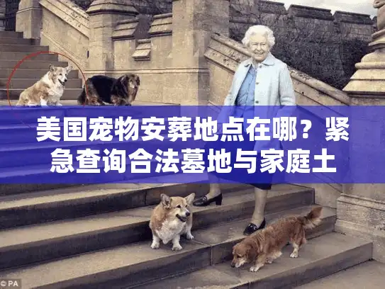 美国宠物安葬地点在哪?紧急查询合法墓地与家庭土葬法规 美国宠物安葬地点在哪?紧急查询合法墓地与家庭土葬法规