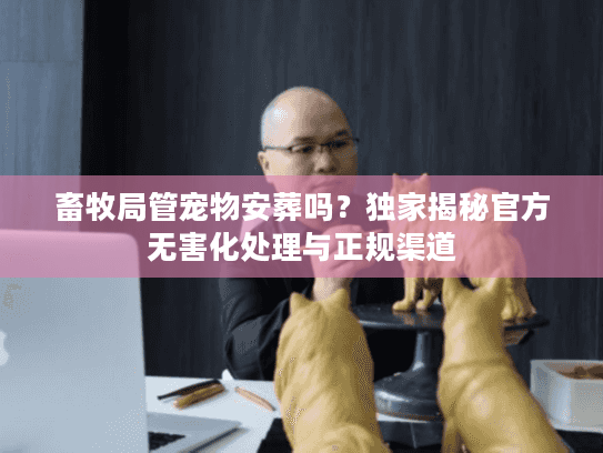 畜牧局管宠物安葬吗？独家揭秘官方无害化处理与正规渠道