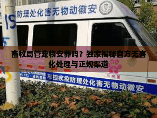 畜牧局管宠物安葬吗？独家揭秘官方无害化处理与正规渠道