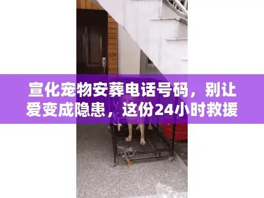 宣化宠物安葬电话号码，别让爱变成隐患，这份24小时救援名单请收好