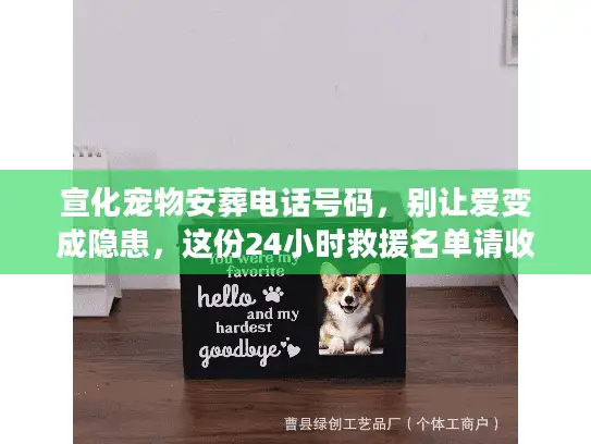 宣化宠物安葬电话号码，别让爱变成隐患，这份24小时救援名单请收好