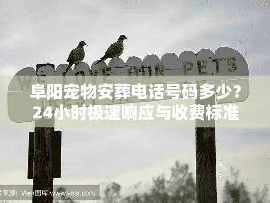 阜阳宠物安葬电话号码多少？24小时极速响应与收费标准揭秘