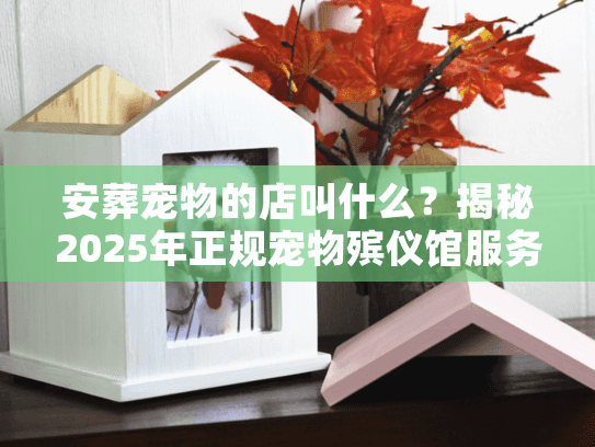 安葬宠物的店叫什么?揭秘2025年正规宠物殡仪馆服务全貌 安葬宠物的店叫什么?揭秘2025年正规宠物殡仪馆服务全貌