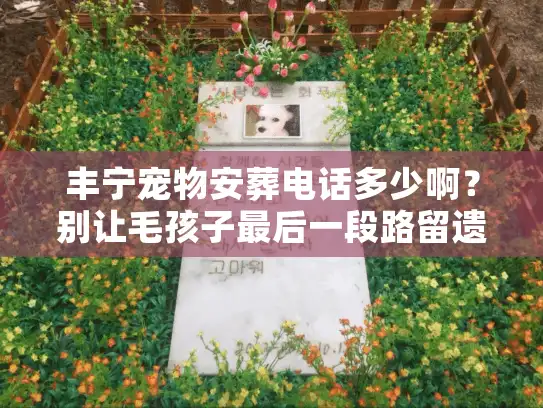 丰宁宠物安葬电话多少啊?别让毛孩子最后一段路留遗憾 丰宁宠物安葬电话多少啊?别让毛孩子最后一段路留遗憾