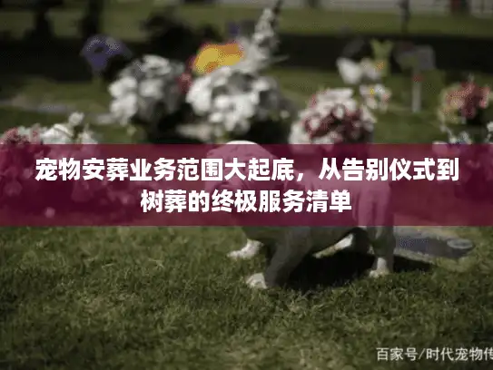 宠物安葬业务范围大起底,从告别仪式到树葬的终极服务清单 宠物安葬业务范围大起底,从告别仪式到树葬的终极服务清单
