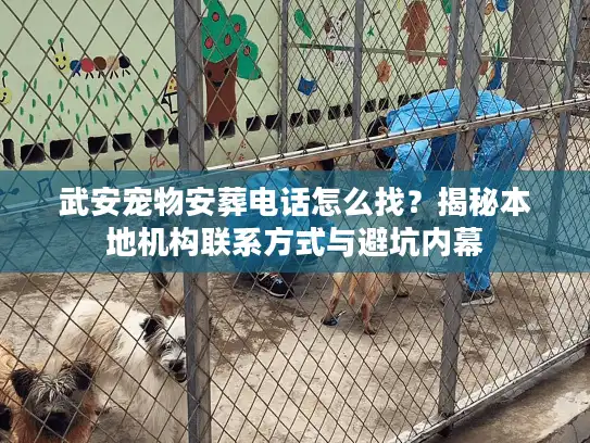 武安宠物安葬电话怎么找？揭秘本地机构联系方式与避坑内幕