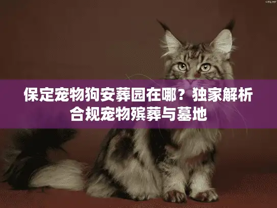 保定宠物狗安葬园在哪？独家解析合规宠物殡葬与墓地