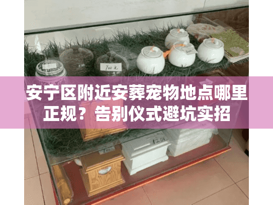 安宁区附近安葬宠物地点哪里正规?告别仪式避坑实招 安宁区附近安葬宠物地点哪里正规?告别仪式避坑实招