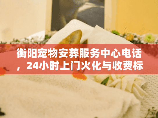 衡阳宠物安葬服务中心电话，24小时上门火化与收费标准揭秘