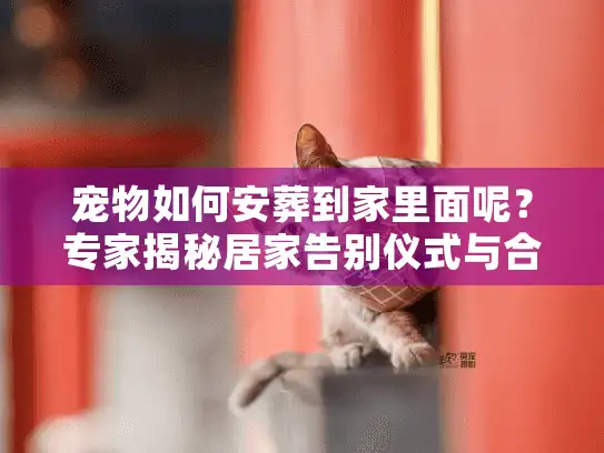 宠物如何安葬到家里面呢？专家揭秘居家告别仪式与合规流程