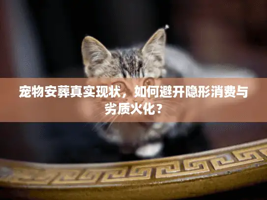 宠物安葬真实现状,如何避开隐形消费与劣质火化? 宠物安葬真实现状,如何避开隐形消费与劣质火化?