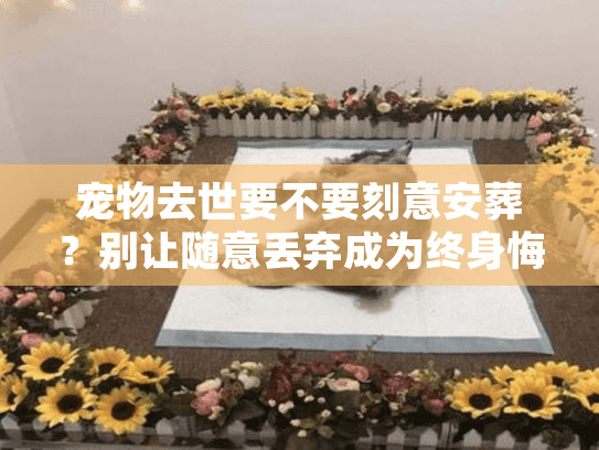 宠物去世要不要刻意安葬?别让随意丢弃成为终身悔恨 宠物去世要不要刻意安葬?别让随意丢弃成为终身悔恨