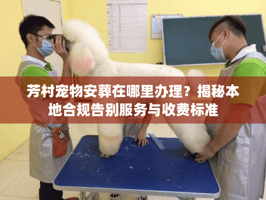芳村宠物安葬在哪里办理？揭秘本地合规告别服务与收费标准