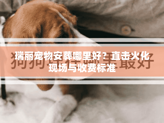 瑞丽宠物安葬哪里好？直击火化现场与收费标准