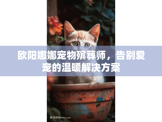 欧阳娜娜宠物殡葬师,告别爱宠的温暖解决方案 欧阳娜娜宠物殡葬师,告别爱宠的温暖解决方案