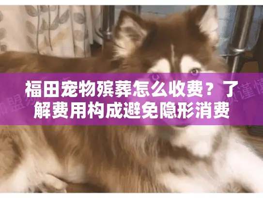 福田宠物殡葬怎么收费？了解费用构成避免隐形消费