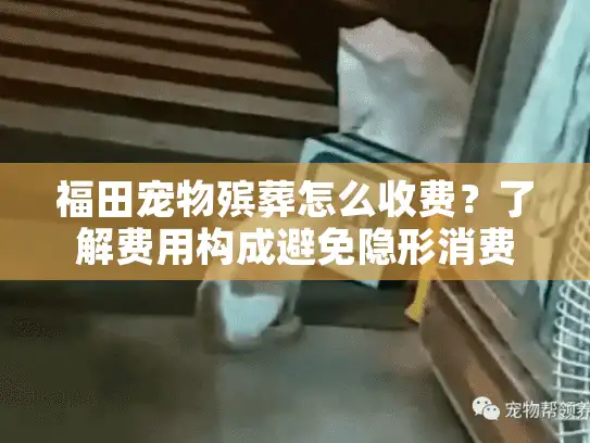 福田宠物殡葬怎么收费？了解费用构成避免隐形消费