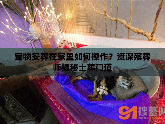宠物安葬在家里如何操作？资深殡葬师揭秘土葬门道