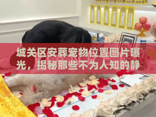 城关区安葬宠物位置图片曝光,揭秘那些不为人知的静谧归宿 城关区安葬宠物位置图片曝光,揭秘那些不为人知的静谧归宿