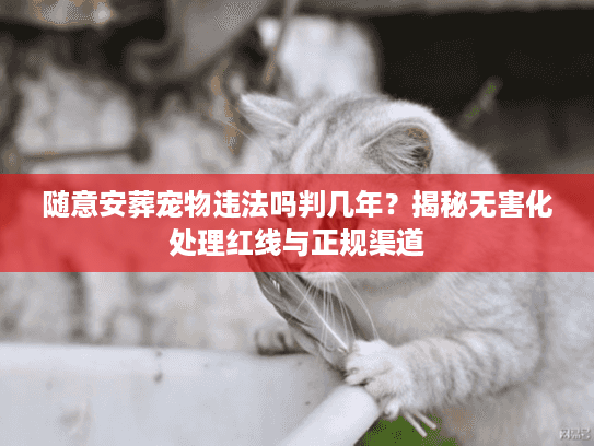 随意安葬宠物违法吗判几年?揭秘无害化处理红线与正规渠道 随意安葬宠物违法吗判几年?揭秘无害化处理红线与正规渠道