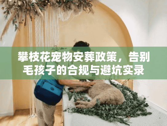 攀枝花宠物安葬政策，告别毛孩子的合规与避坑实录