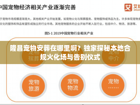 隆昌宠物安葬在哪里啊？独家探秘本地合规火化场与告别仪式