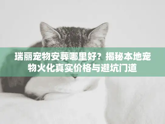 瑞丽宠物安葬哪里好？揭秘本地宠物火化真实价格与避坑门道
