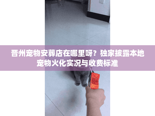 晋州宠物安葬店在哪里呀?独家披露本地宠物火化实况与收费标准 晋州宠物安葬店在哪里呀?独家披露本地宠物火化实况与收费标准