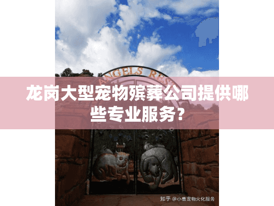 龙岗大型宠物殡葬公司提供哪些专业服务？