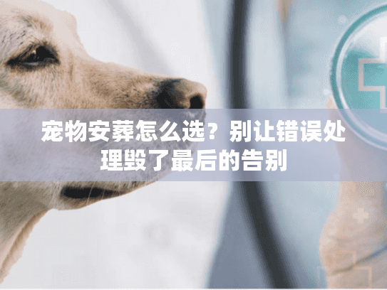 宠物安葬怎么选？别让错误处理毁了最后的告别