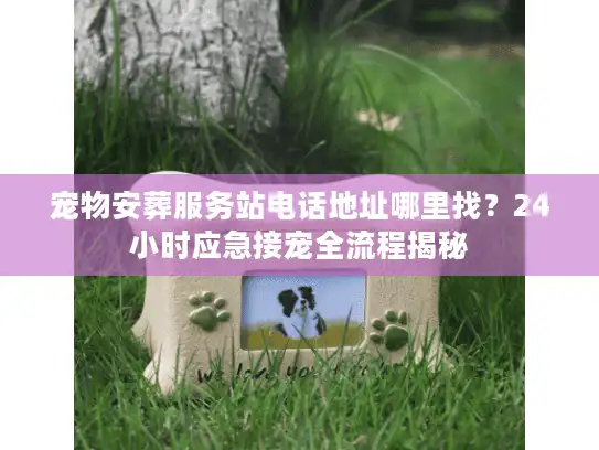 宠物安葬服务站电话地址哪里找？24小时应急接宠全流程揭秘