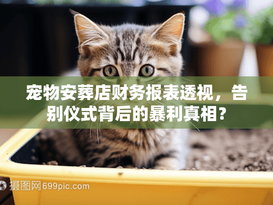 宠物安葬店财务报表透视，告别仪式背后的暴利真相？