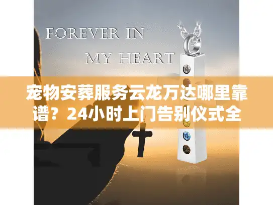 宠物安葬服务云龙万达哪里靠谱?24小时上门告别仪式全流程 宠物安葬服务云龙万达哪里靠谱?24小时上门告别仪式全流程