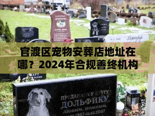 官渡区宠物安葬店地址在哪？2024年合规善终机构避坑实录
