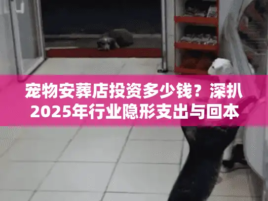 宠物安葬店投资多少钱？深扒2025年行业隐形支出与回本真相