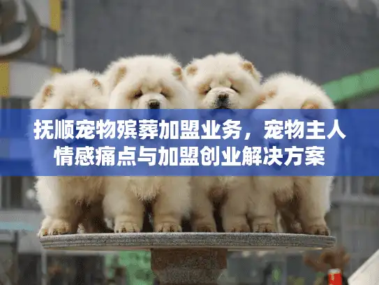抚顺宠物殡葬加盟业务，宠物主人情感痛点与加盟创业解决方案