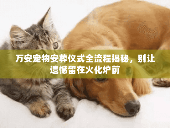 万安宠物安葬仪式全流程揭秘，别让遗憾留在火化炉前