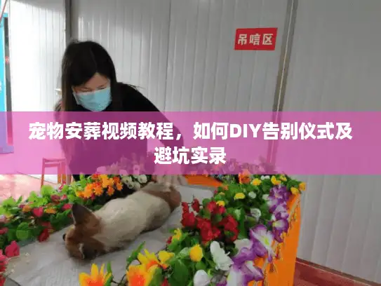 宠物安葬视频教程，如何DIY告别仪式及避坑实录