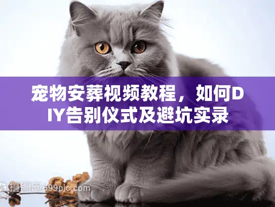 宠物安葬视频教程，如何DIY告别仪式及避坑实录