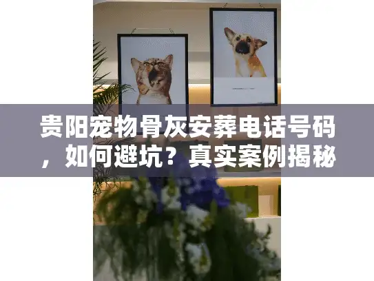 贵阳宠物骨灰安葬电话号码，如何避坑？真实案例揭秘