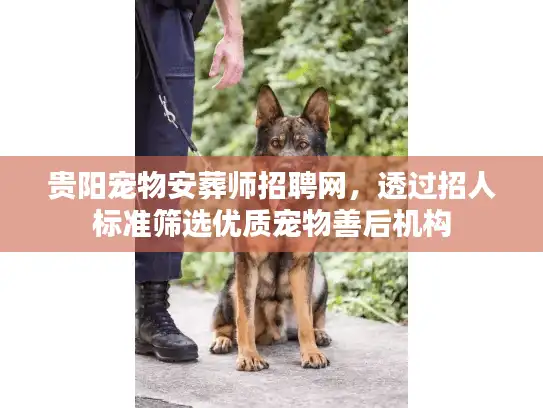 贵阳宠物安葬师招聘网，透过招人标准筛选优质宠物善后机构