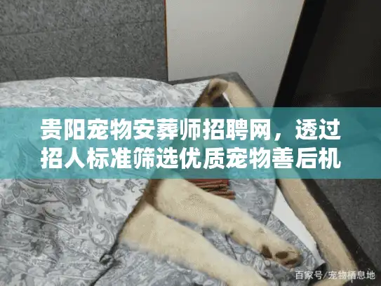 贵阳宠物安葬师招聘网，透过招人标准筛选优质宠物善后机构