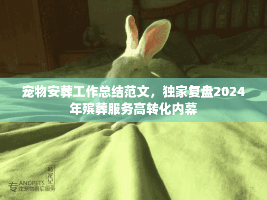 宠物安葬工作总结范文，独家复盘2024年殡葬服务高转化内幕