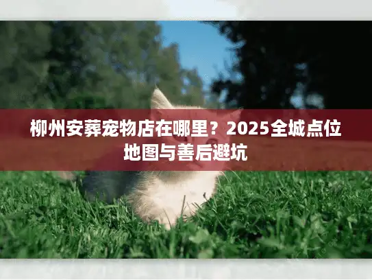 柳州安葬宠物店在哪里?2025全城点位地图与善后避坑 柳州安葬宠物店在哪里?2025全城点位地图与善后避坑