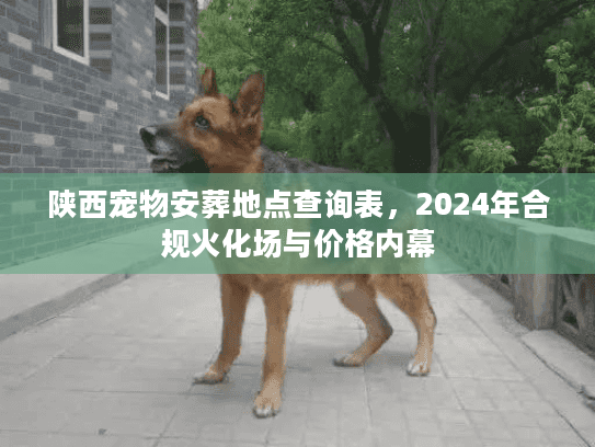 陕西宠物安葬地点查询表，2024年合规火化场与价格内幕