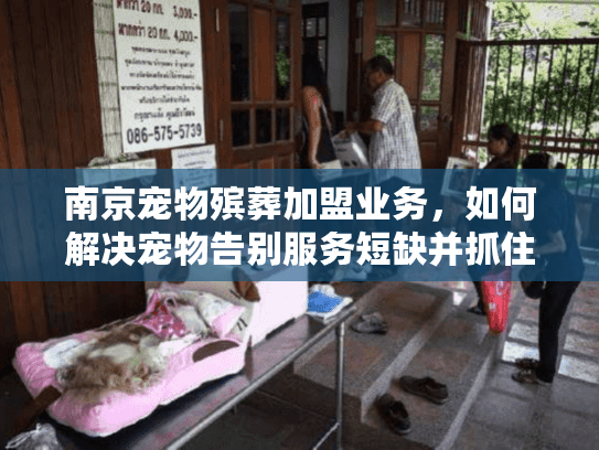 南京宠物殡葬加盟业务，如何解决宠物告别服务短缺并抓住商机？
