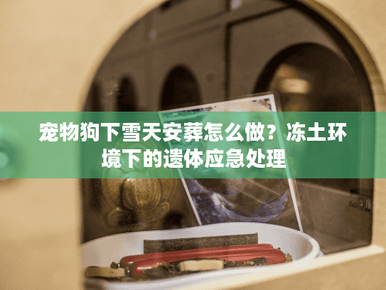 宠物狗下雪天安葬怎么做?冻土环境下的遗体应急处理 宠物狗下雪天安葬怎么做?冻土环境下的遗体应急处理
