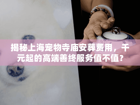 揭秘上海宠物寺庙安葬费用，千元起的高端善终服务值不值？