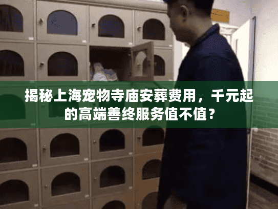 揭秘上海宠物寺庙安葬费用，千元起的高端善终服务值不值？